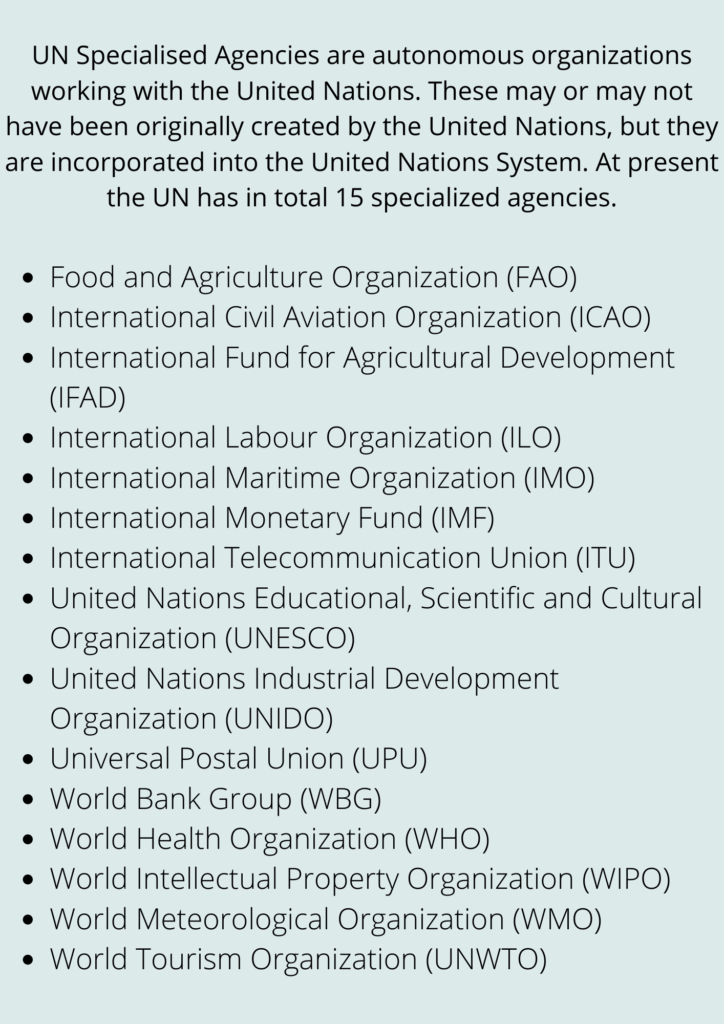 United nations organization