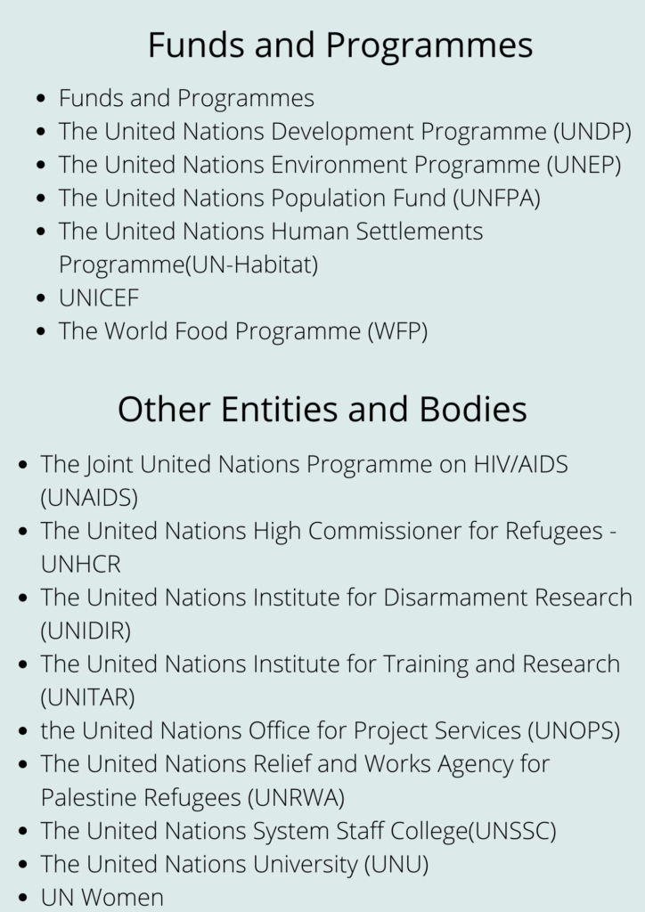 United nations organization