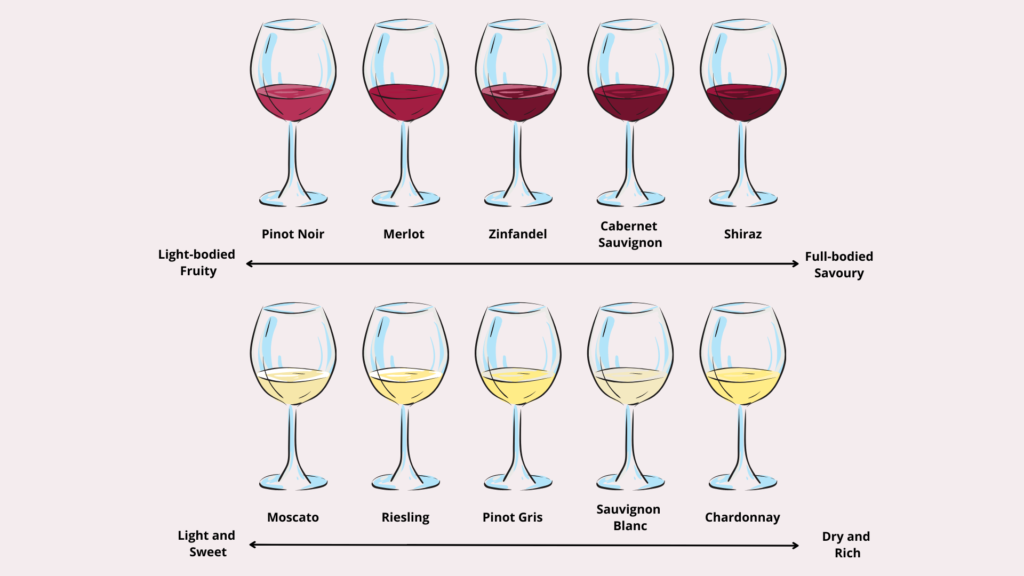 Know your Wine