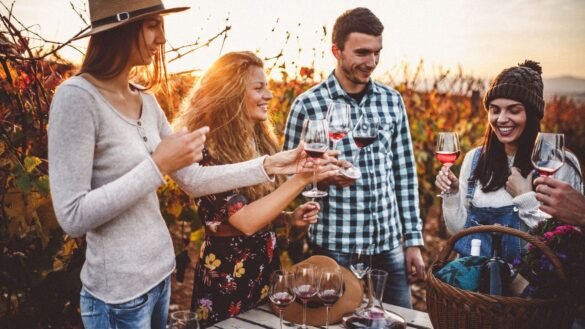 Wine Tasting Guide