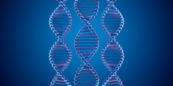 Complete human genome sequenced