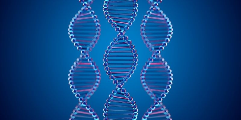 Complete Human Genome Sequenced For First Time