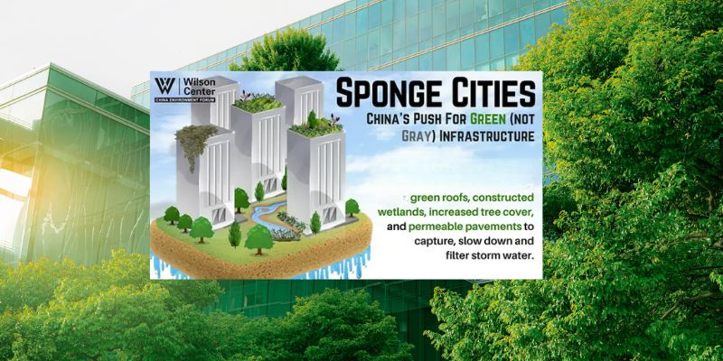 Sponge Cities